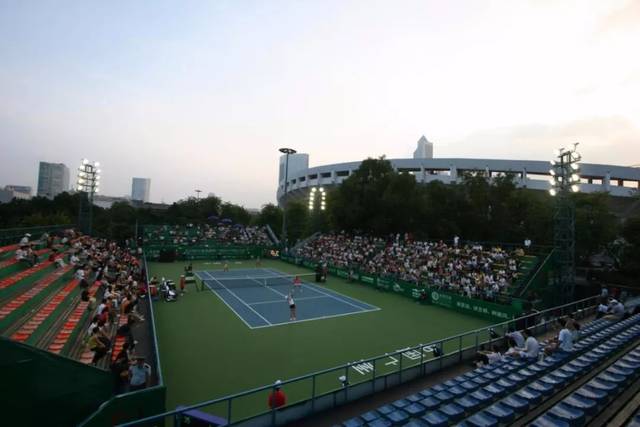 中国组合郑 中国组合郑